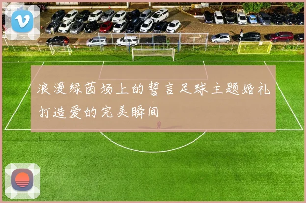 浪漫绿茵场上的誓言足球主题婚礼打造爱的完美瞬间