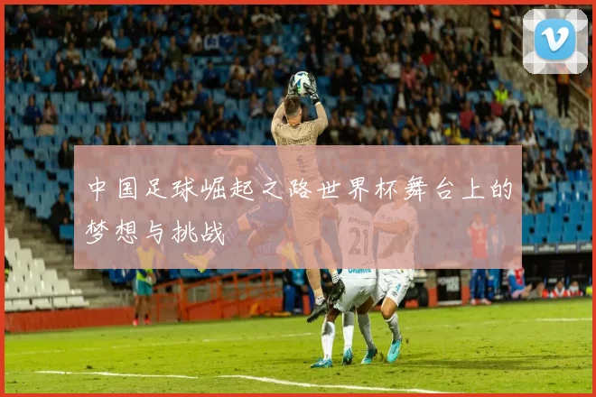 中国足球崛起之路世界杯舞台上的梦想与挑战