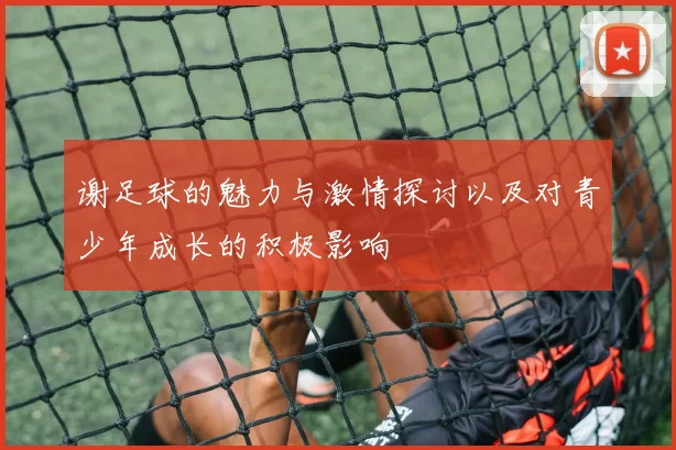 谢足球的魅力与激情探讨以及对青少年成长的积极影响