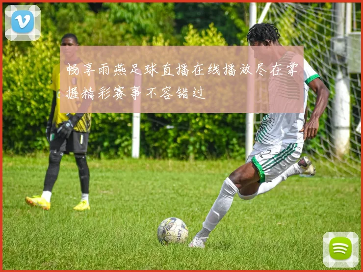 畅享雨燕足球直播在线播放尽在掌握精彩赛事不容错过