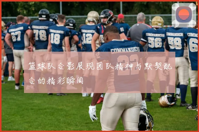 篮球队合影展现团队精神与默契配合的精彩瞬间