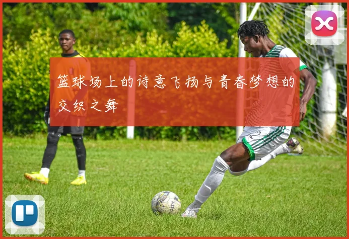 篮球场上的诗意飞扬与青春梦想的交织之舞